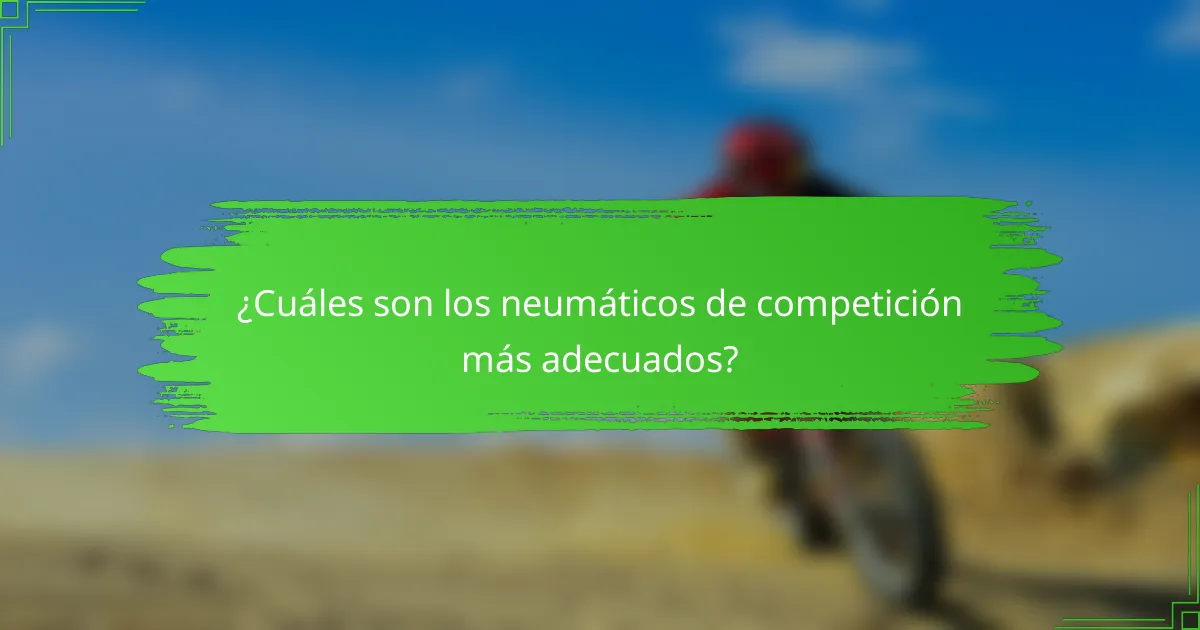 ¿Cuáles son los neumáticos de competición más adecuados?